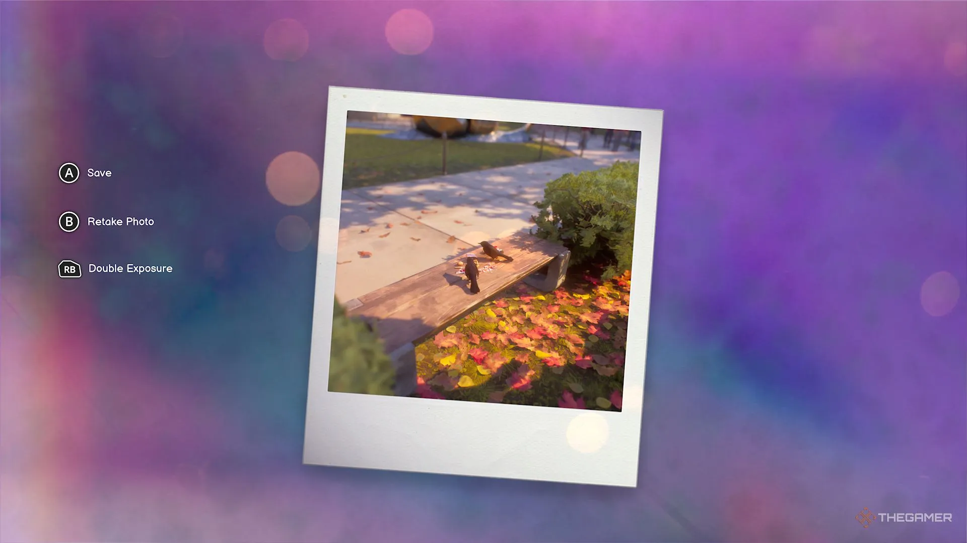 杭州亚残运,会开幕式,桂花,亚博体育,亚博体育官网,亚博体育app,亚博体育下载