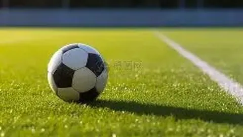 小孔塞桑：球队遇挫遭批评属常规，葡萄牙力争半决赛胜利